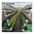 Agricultura DWC Sistemas de cultivo hidropônico vertical de PVC